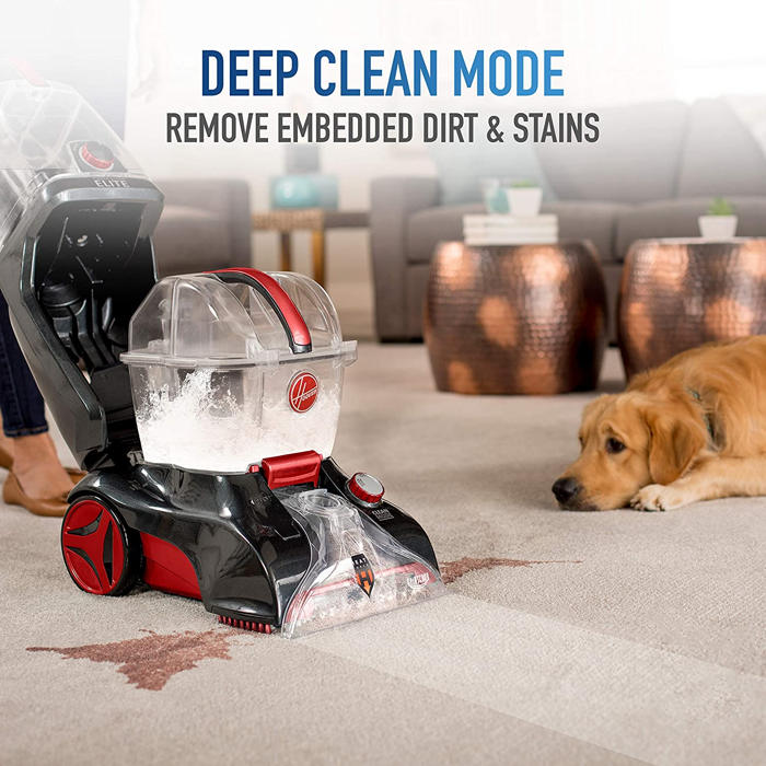 5+ Best Rug Cleaners For Pet Owners Reviewed 2020