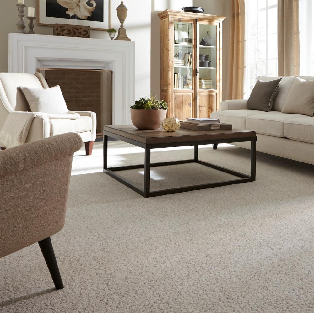 5+ Best Type of Rug for High Traffic Area of USA in 2020