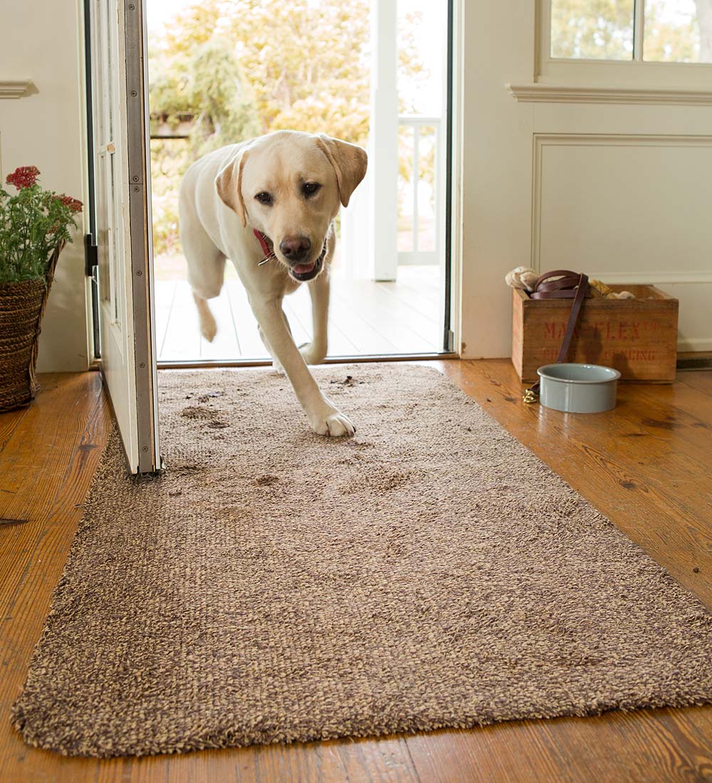 Top 5 Best Rug To Catch Dirt of USA in 2020