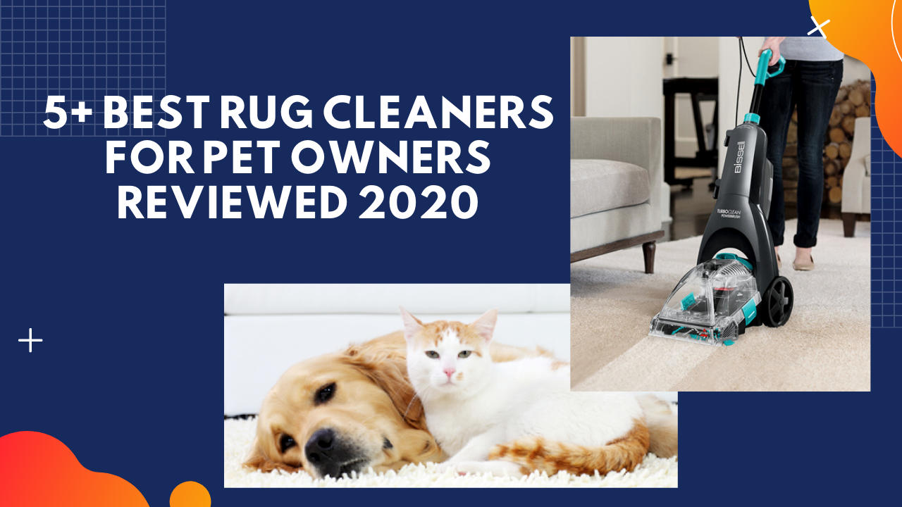 5+ Best Rug Cleaners For Pet Owners Reviewed 2020