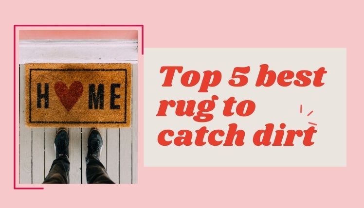 Top 5 Best Rug To Catch Dirt of USA in 2020