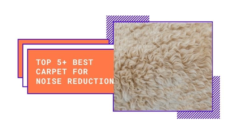 Top 5 Best Carpet For Noise Reduction [Reviewed in 2020]