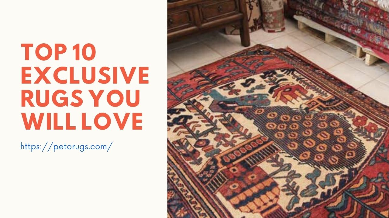 Top 10 Exclusive Rugs You Will Love In 2020