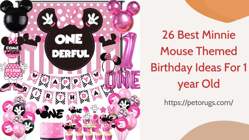 26 Best Minnie Mouse Themed Birthday Ideas For 1 year Old