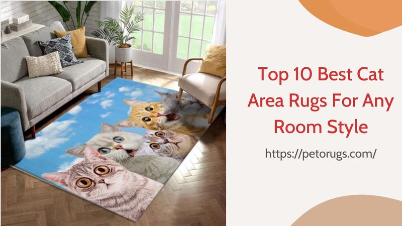 Top 10 Best Cat Area Rugs For Any Room Style