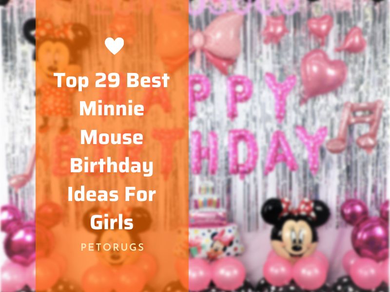 Top 29 Best Minnie Mouse Birthday Ideas For Girls