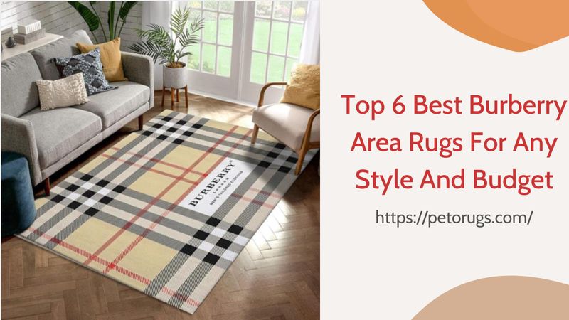 Top 6 Best Burberry Area Rugs For Any Style And Budget
