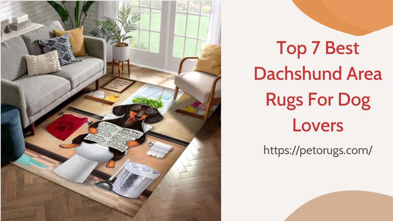 Top 7 Best Dachshund Area Rugs For Dog Lovers