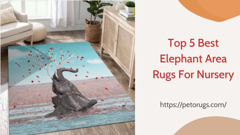 Top 5 Best Elephant Area Rugs For Nursery