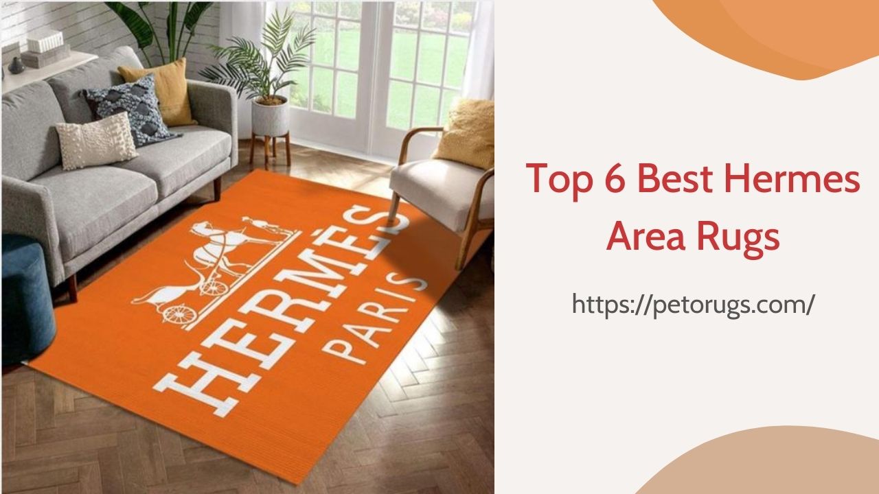 Top 6 Best Hermes Area Rugs