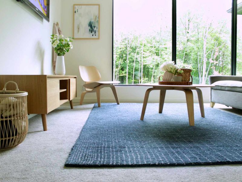 Consider the Color - Put A Rug On Carpet