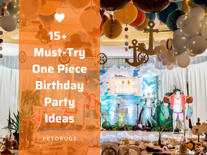 15+ Must-Try One Piece Birthday Party Ideas