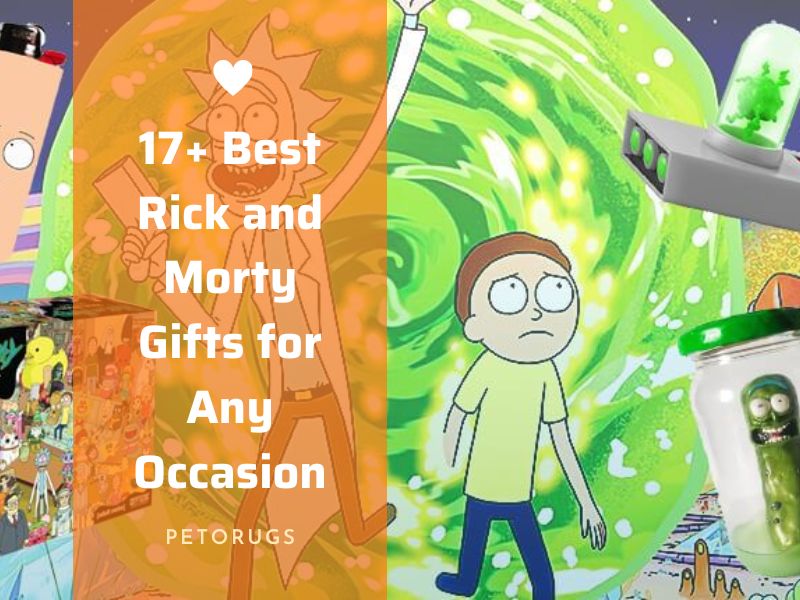 17+ Best Rick and Morty Gifts for Any Occasion