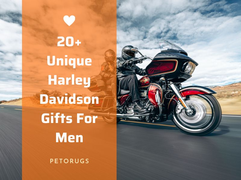 20+ Unique Harley Davidson Gifts For Men