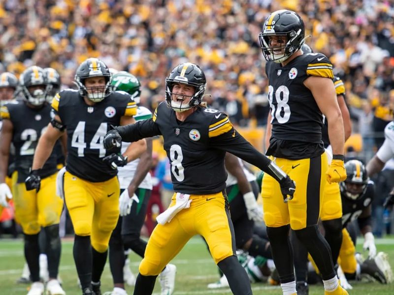 Overview of Pittsburgh Steelers Betting