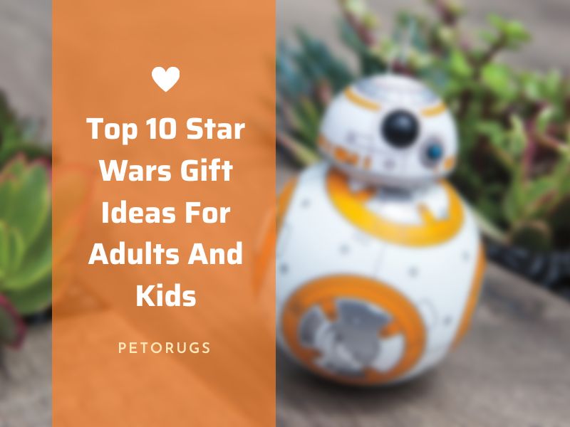 Top 10 Star Wars Gift Ideas For Adults And Kids