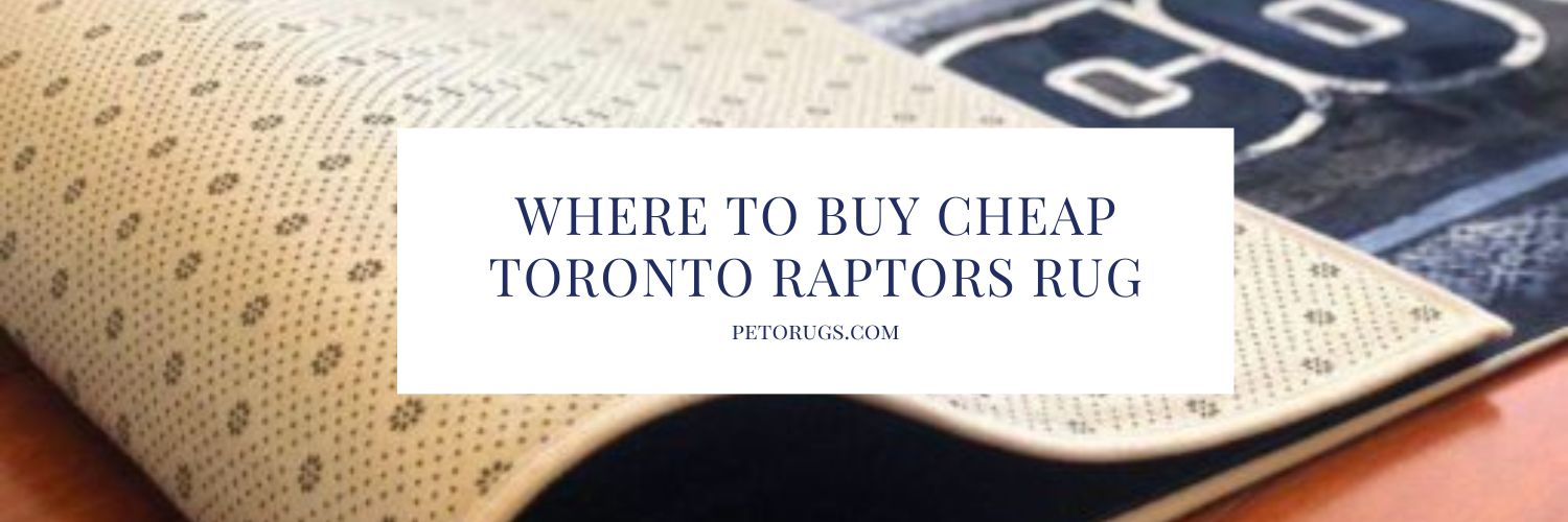Where to Buy Cheap Toronto Raptors Rug