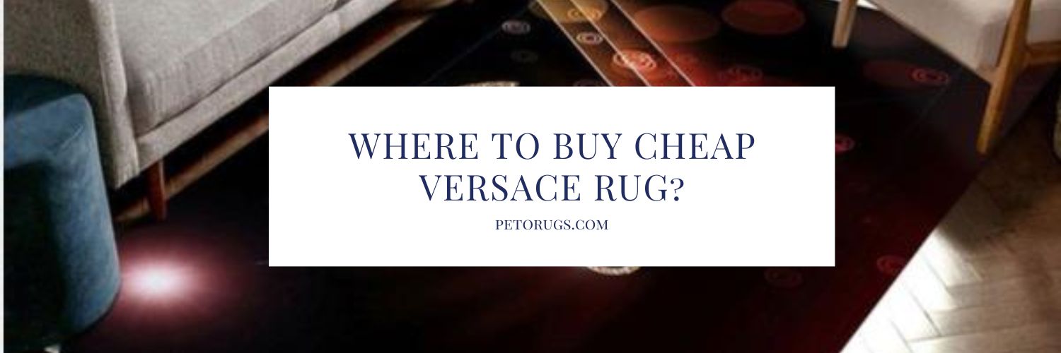 Where to Buy Shark Versace Rug