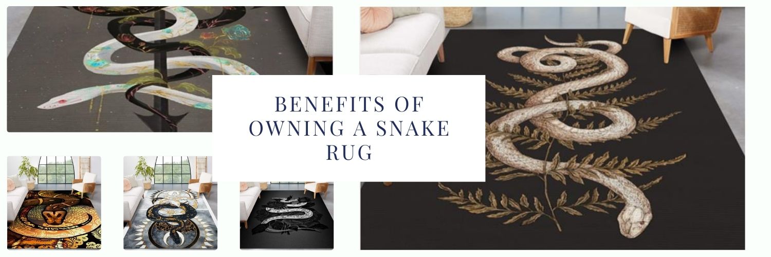 Benefits of Owning a Snake Rug