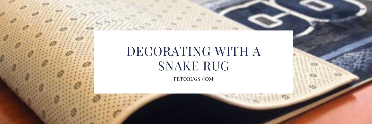 Decorating with a Snake Rug