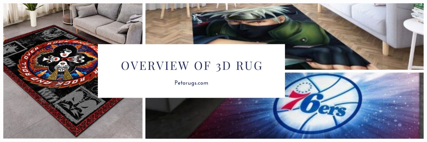 OVERVIEW OF 3D RUG