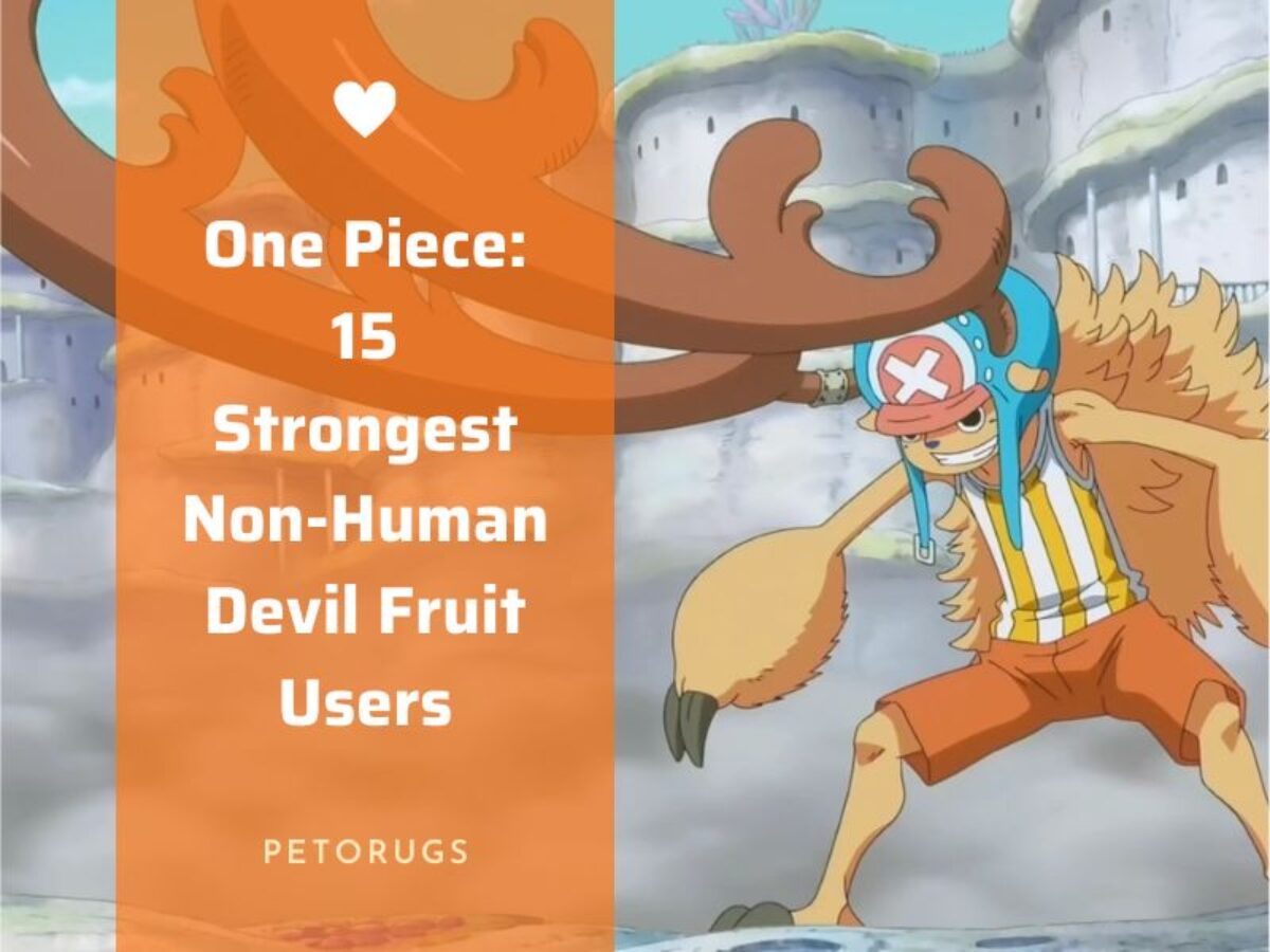 One Piece Devil Fruits: 5 One Piece Devil Fruits that would make