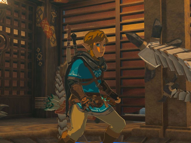Protagonist Link in The Legend of Zelda Tears of the Kingdom.