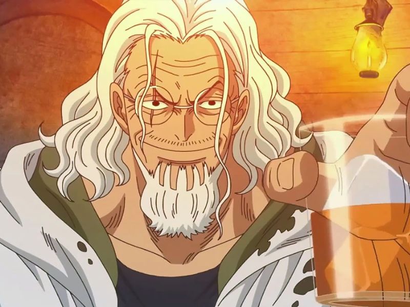 Silvers Rayleigh - Strongest One Piece Characters
