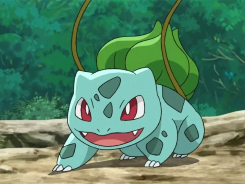 The Gender of Ash's Bulbasaur Has Never Been Explicitly Stated - Bulbasaur Pokemon facts