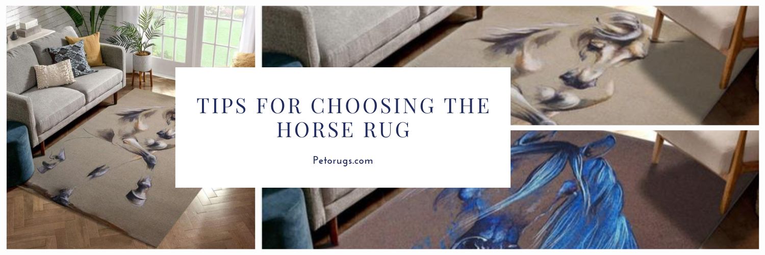Tips for Choosing the Horse Rug