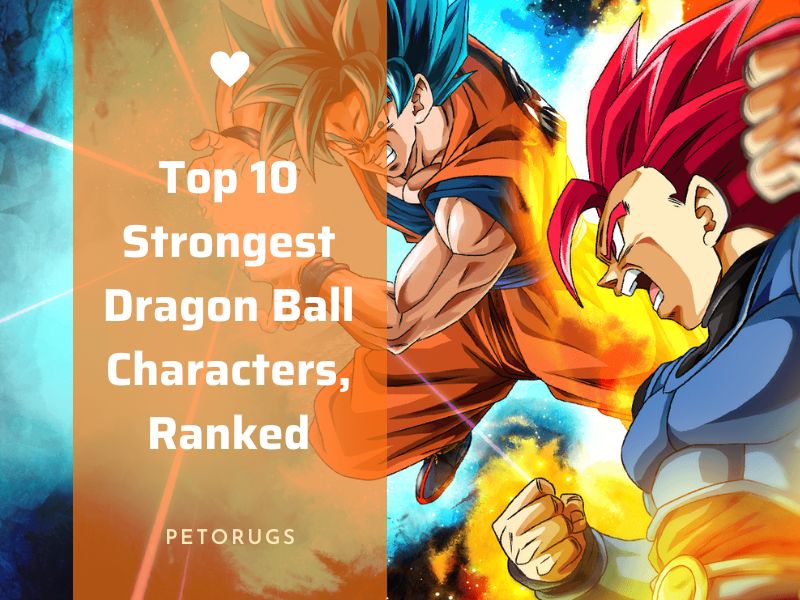 Top 10 Popular Characters in Dragon Ball Z  Merch Fuse