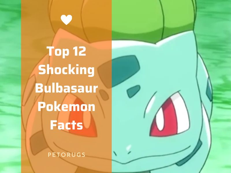 Top 12 Shocking Bulbasaur Pokemon Facts