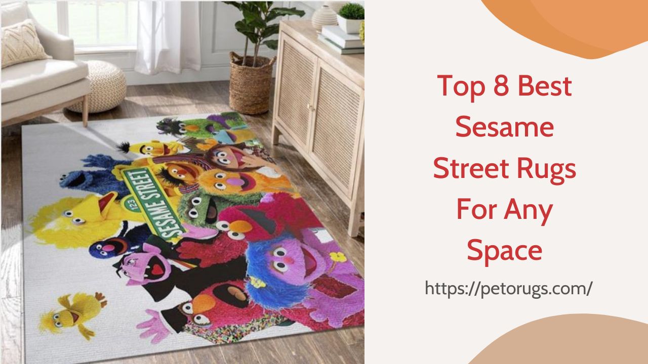 Top 8 Best Sesame Street Rugs For Any Space