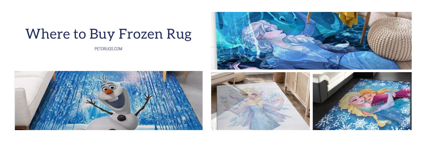 Where to Buy Frozen Rug