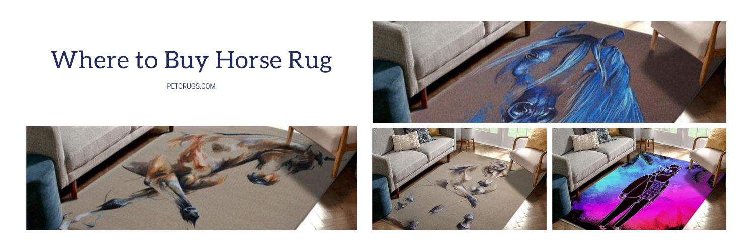 Where to Buy Horse Rug