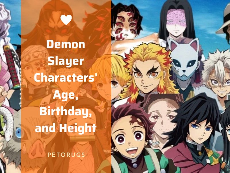 MHA Characters' Ages, Heights, & Birthdays
