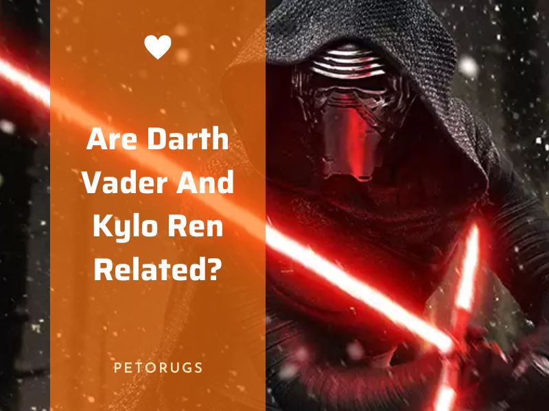 Are Darth Vader And Kylo Ren Related - Ultimate answer