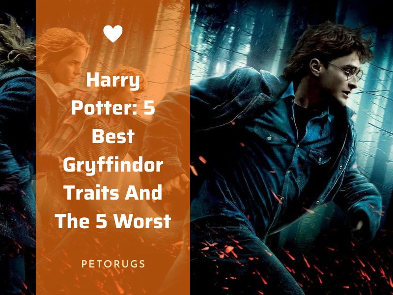 Harry Potter: 5 Best Gryffindor Traits And The 5 Worst