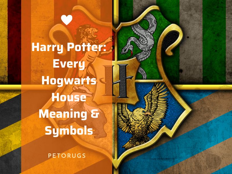 Harry Potter Every Hogwarts House Meaning & Symbols