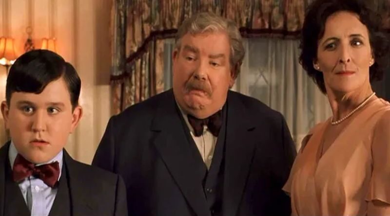 Harry Was A Horcrux, So The Dursleys Were Cruel 