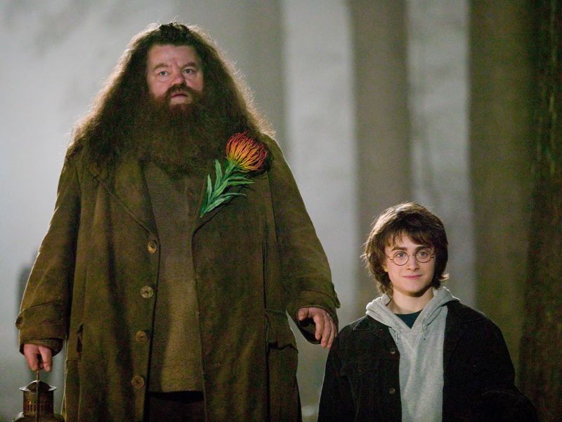 Rubeus Hagrid - Best Gryffindor Characters