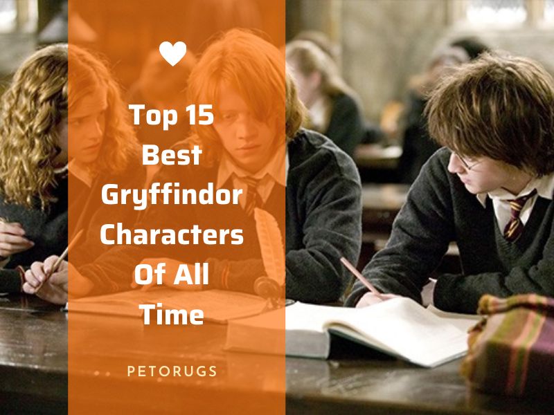 Top 15 Best Gryffindor Characters In Harry Potter