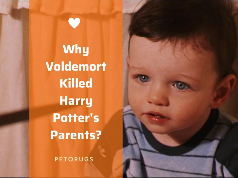 Dead Baby Voldemort