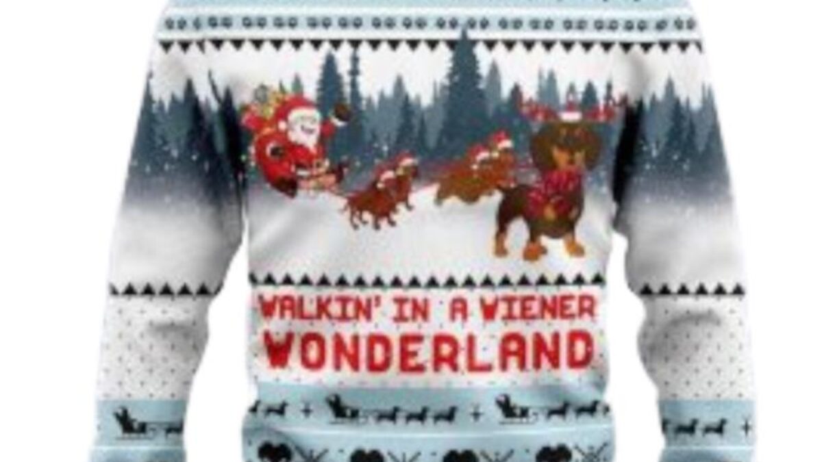 Christmas sweaters hot sale for dachshunds